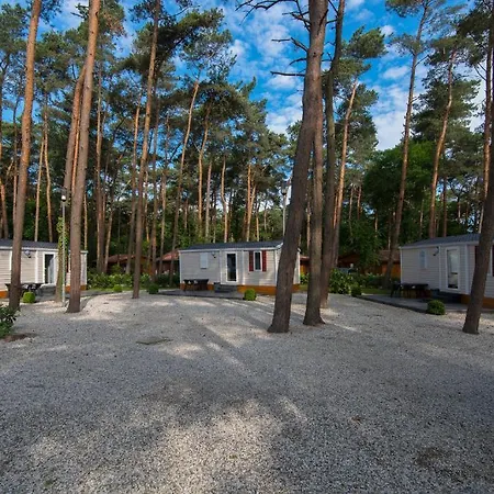 Bospark De Brenkberg Schinveld