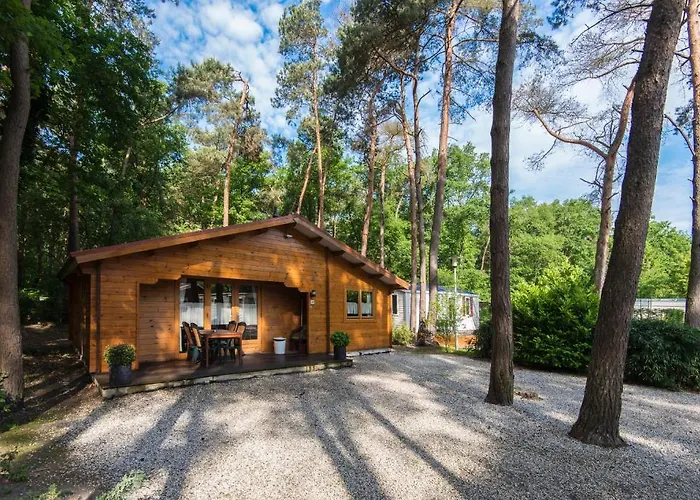 Bospark De Brenkberg * 斯欣费尔德