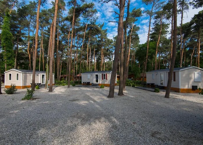 Bospark De Brenkberg Schinveld